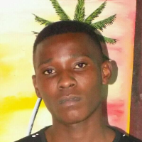 manager mozout